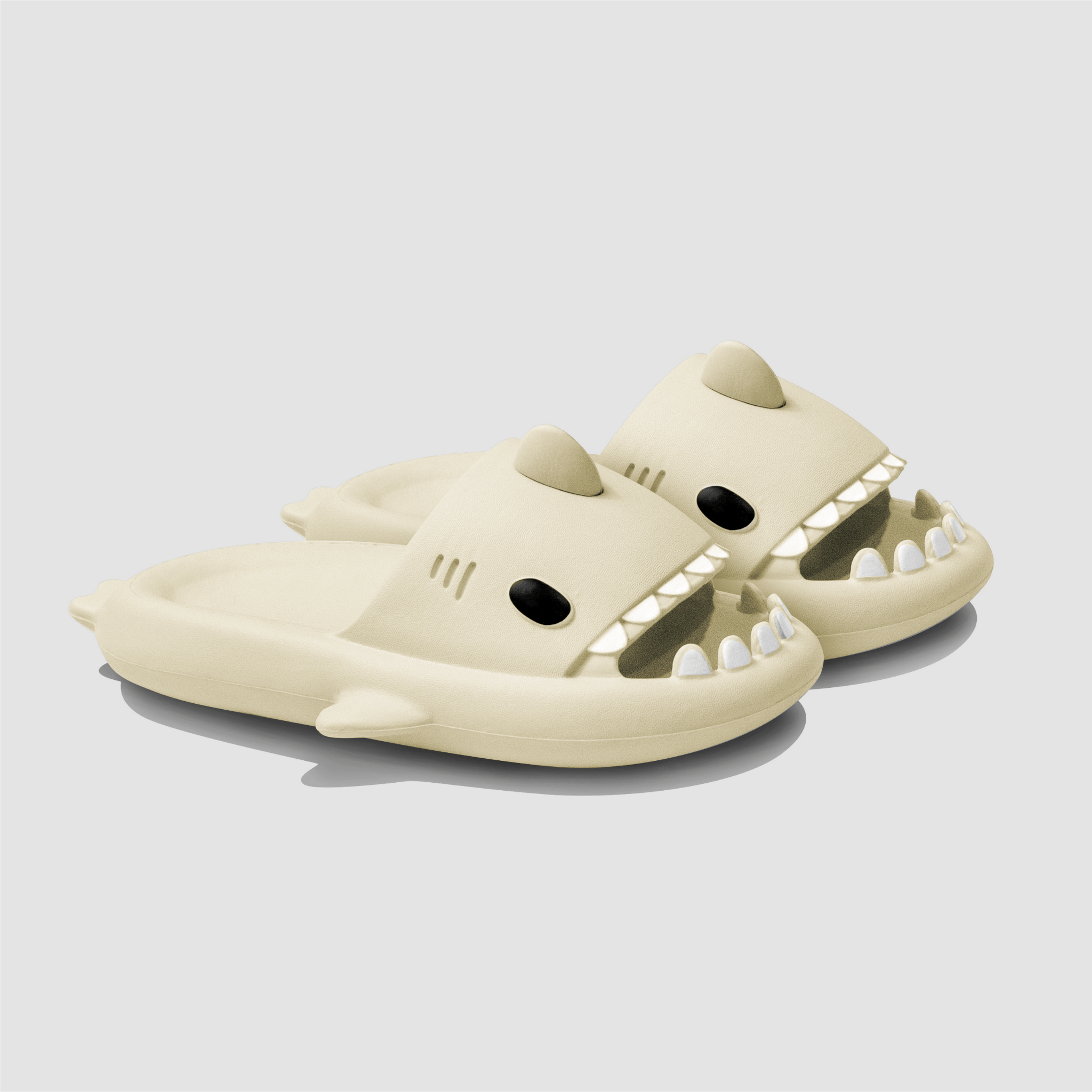 The Original Shark Slides The Slides That Started it All sharkslides